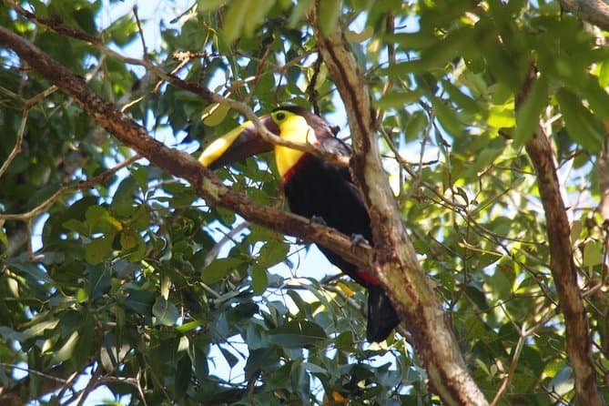 Unforgettable Soberania National Park Hiking Adventures