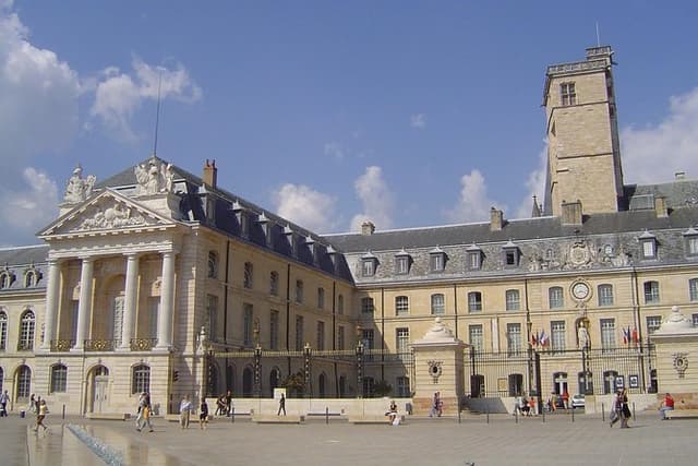 Dijon Signature Walk: Gothic Landmarks & Ducal Grandeur