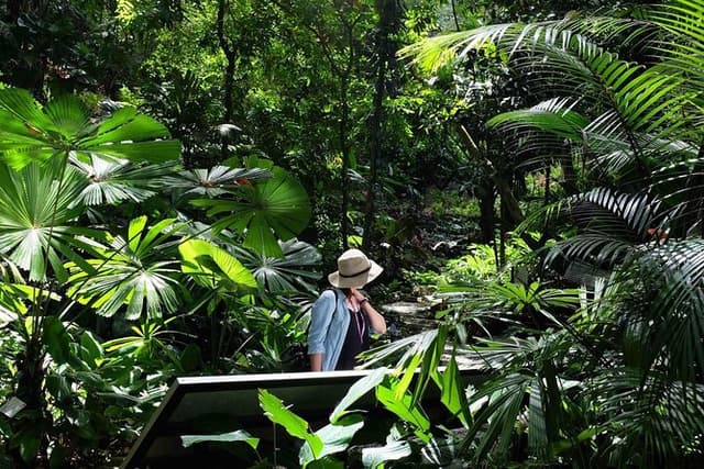 Penang Half Day City Tour Including Tropical Spice Garden