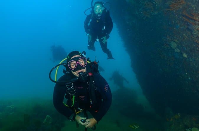 Best Rottnest Island Boat Dives from Fremantle