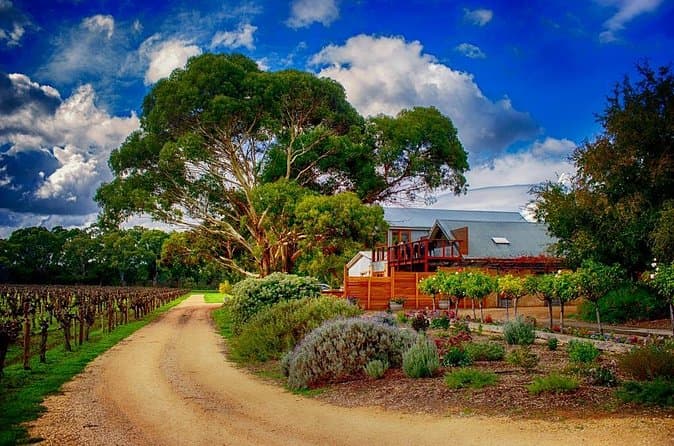 Best Langhorne Creek Wine Tours from Adelaide