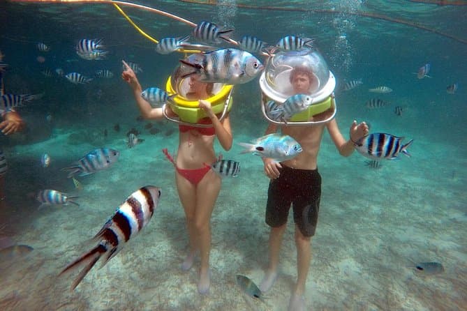 Best Ile Aux Cerf Day Tours from Trou d'Eau Douce