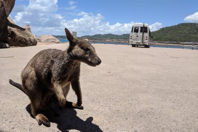 Magnetic Island Tour: Maggie Comprehensive
