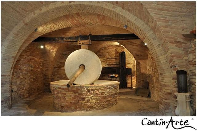 Organic Wine Tasting & tasting of EVO CantinArte OIL MUSEUM