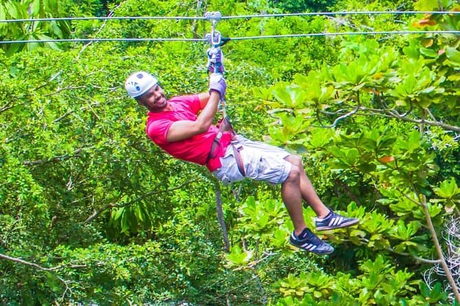 Compare Best Dunn's River Falls Tours