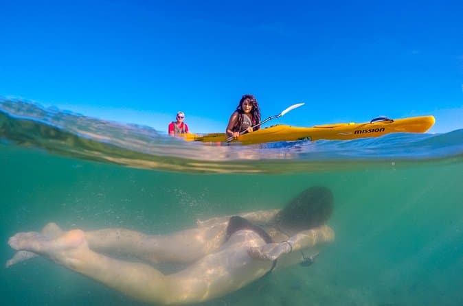 Compare Top Abel Tasman Kayak Tours