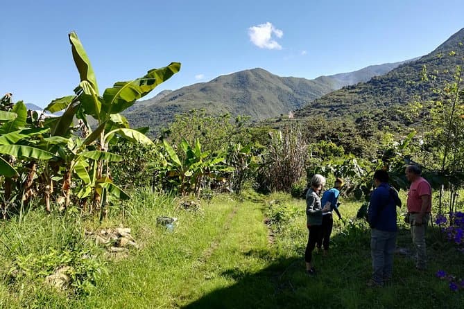 Authentic Chocolate Making & Cacao Tours in Cusco