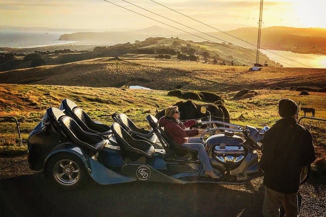 Best Dunedin City & Otago Peninsula Day Tour Experience