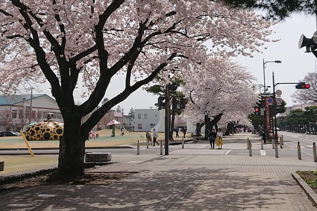 [Aomori Prefecture] Tour the history and architecture in Towada City, the art city