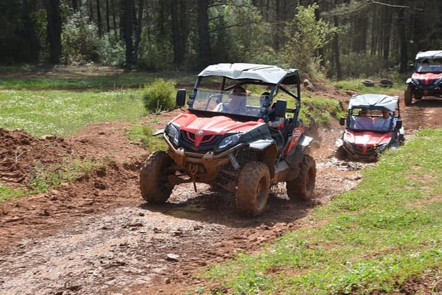 2 people buggy safari half day beach and forest drive