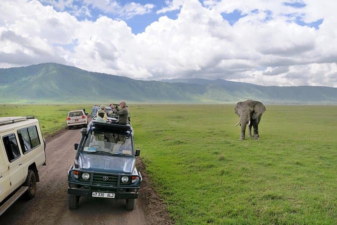 Compare Top Great Migration Safari Tours