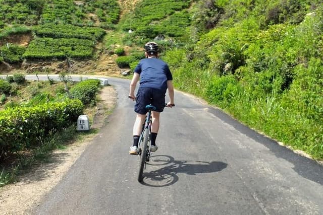 Cycle from Adam's Peak to Kithulgala and go white water rafting