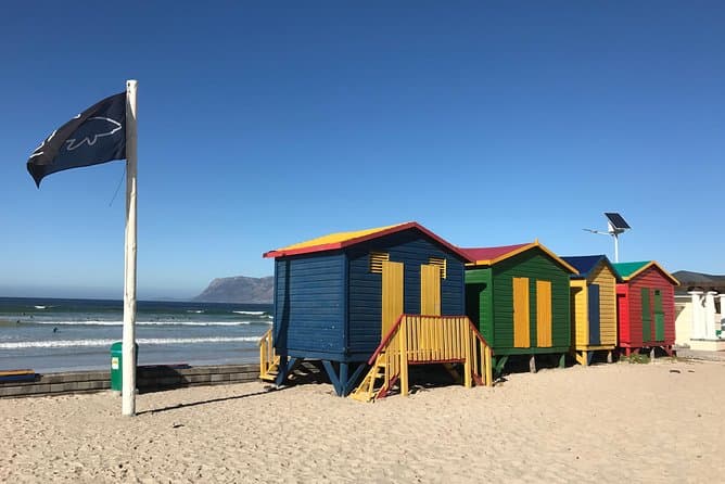 Cape of Good Hope & Penguins Tour