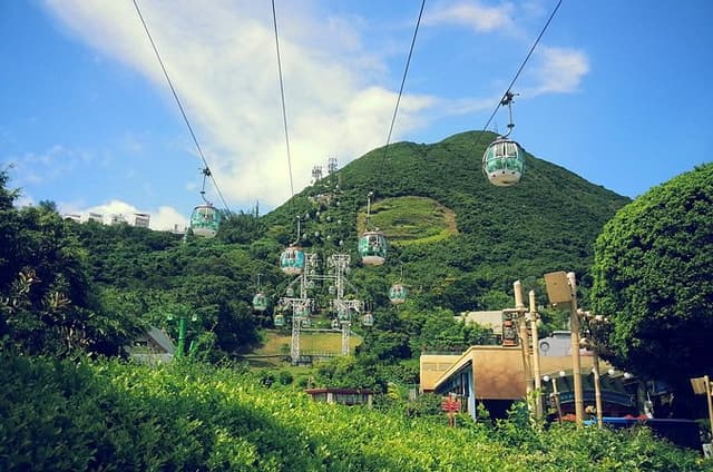 Peak Tram Tour and Ocean Park in One Day