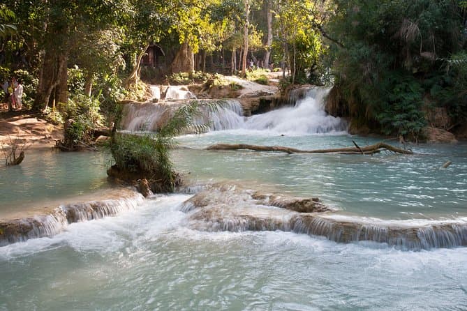 Best Kuang Si Waterfall & Authentic Rice Farm Experience