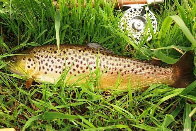 Compare Top Lough Corrib Fishing Tours