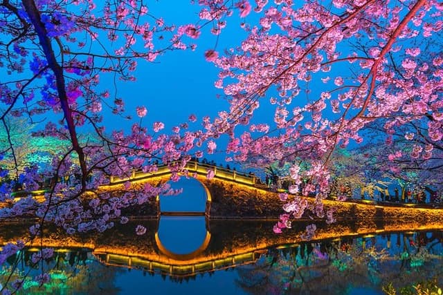 Private Wuxi Day Tour from Shanghai by Bullet Train