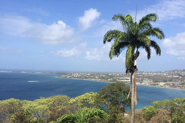 VIP Inclusive Private Tour of Island (Lunch, Drinks + Snorkeling)