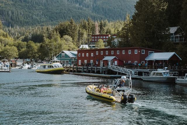 Vancouver Island Zodiac Whale Watching Adventure - Telegraph Cove