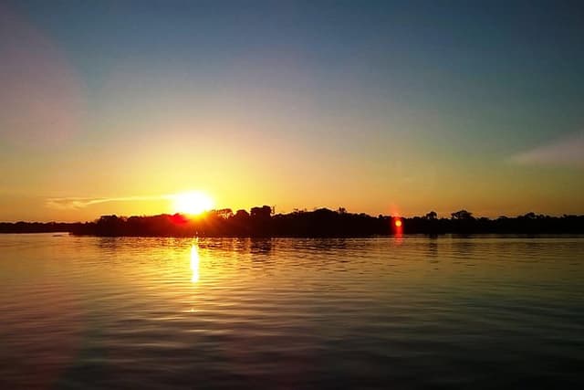 Full Day Amazon River Experience with Night Boat Tour