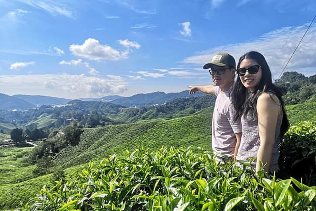 Cameron Highland Best Day Tour from Ipoh with Lunch ( Day Trip)