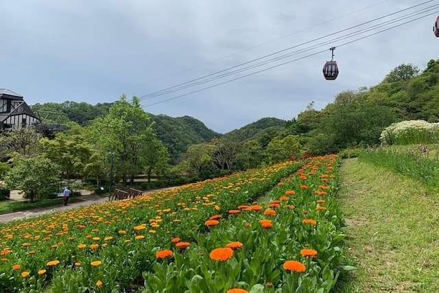 Kobe private tour from Osaka (Shore excursion available from Osaka or Kobe port)