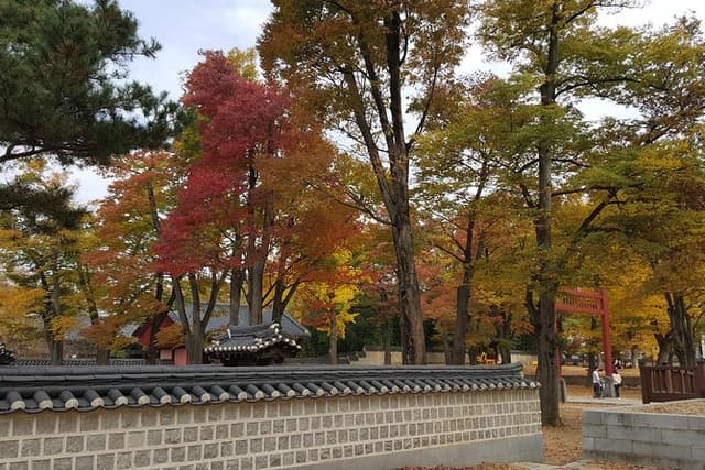 (Private tour)Jeonju City tour by KTX bullet Train from Seoul
