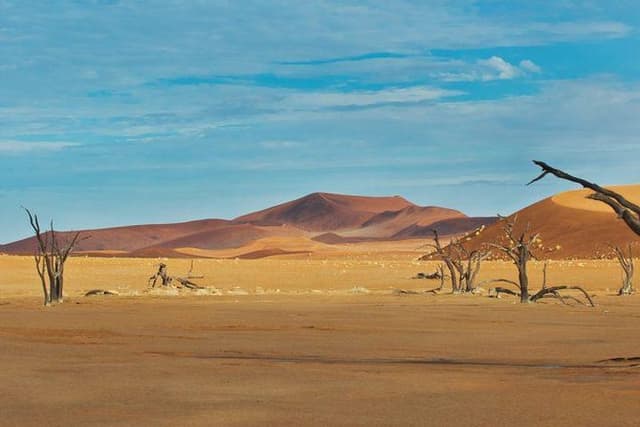 5 Days Swakopmund and Sossusvlei | Guided Lodge
