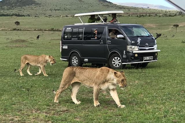 3 Days adventurous Maasai Mara Budget Group Safari