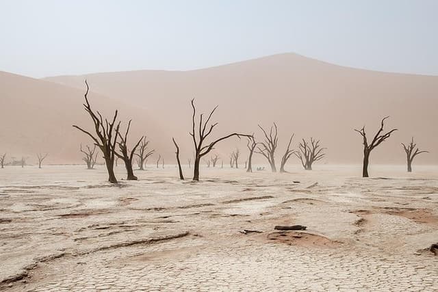 10 DAYS BEAUTY OF NAMIBIA | Guided Lodge
