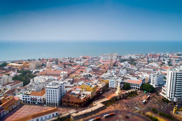 Panoramic & Shopping