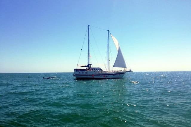 Superb Black Sea Yacht Picnic with Food & Drinks
