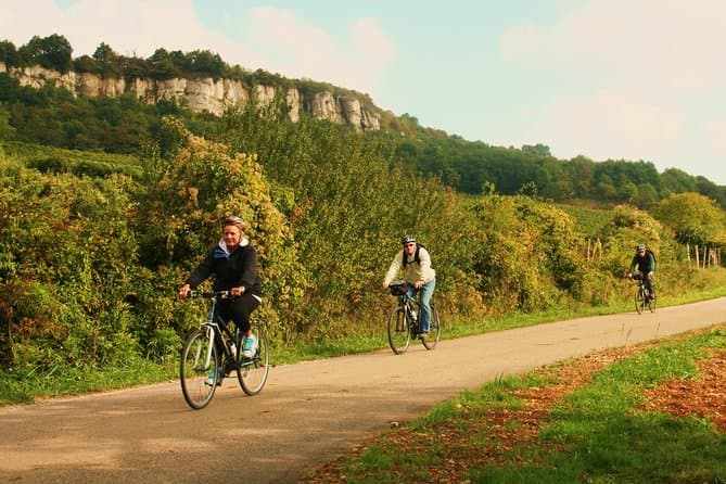 Beaune Wine Tours & Tastings