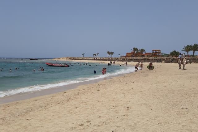 Turtles Bay, Swimming with Turtles Hurghada & Marsa ALam