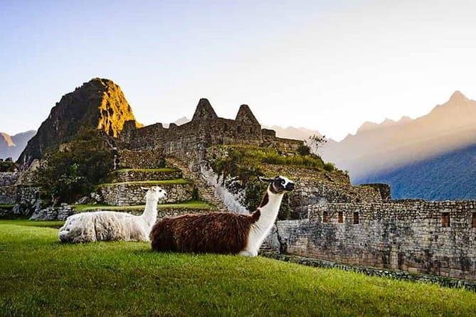 Best Scenic Machu Picchu Train Journeys from Cusco