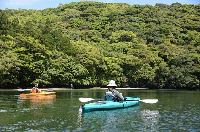 Best Anbo River Kayaking Tours & Options