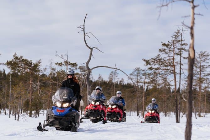 Northern Lights Snowmobile Tour - Rovaniemi