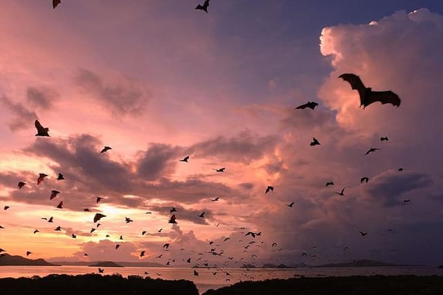 Sunset at Kalong Island