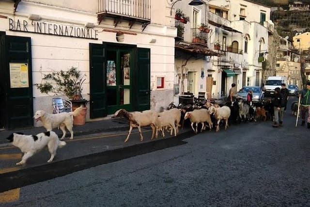 Amalfi Coast tour