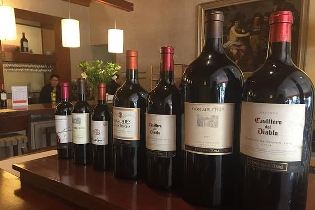 Wine Tour Concha/Cousiño & Santa Rita Winery & Lunch PRIVATE TOUR