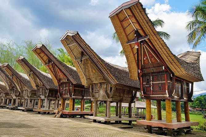Authentic Toraja Cultural Adventures from Makassar