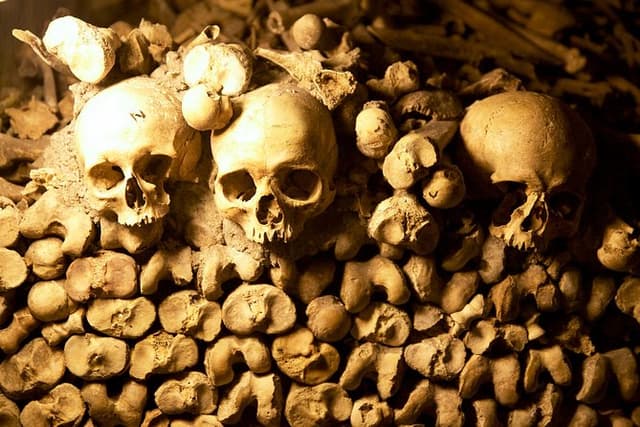 Paris Catacombs Guided Tour with Exclusive Access to Secret Areas