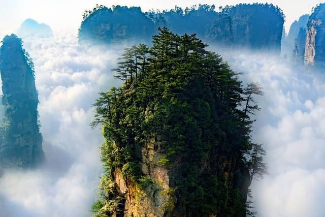 1 "Pandora" Day Trip-Zhangjiajie National Park(Avatar Mountain Scenery)