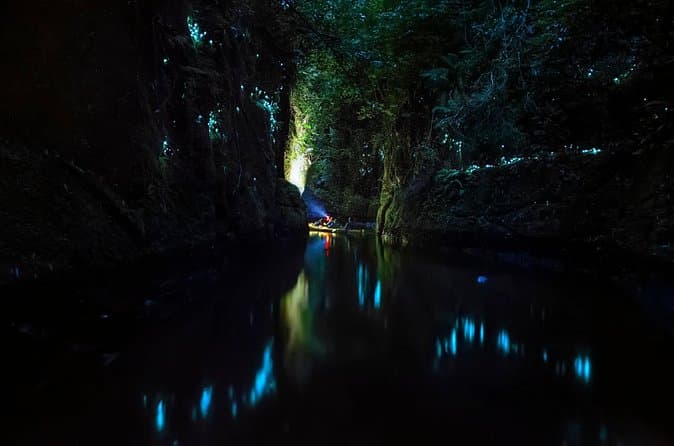Compare Top Big Kanu Glowworm Tours