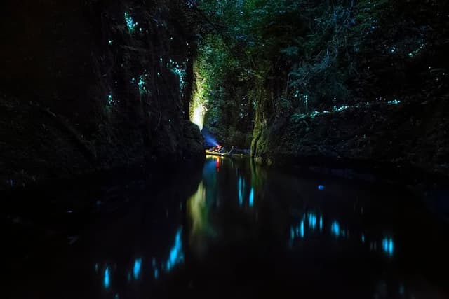 Tauranga: Evening Glowworm Kayak Tour