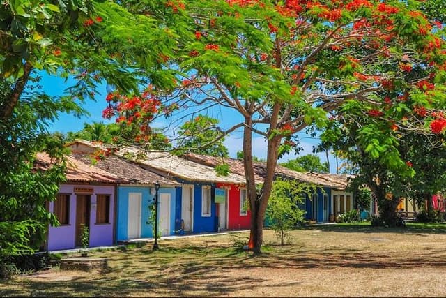 Full-Day Tour to Trancoso and Chocolate Factory from Porto Seguro