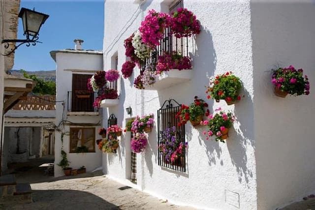 Alpujarras Day Trip Private or Small Group Tour