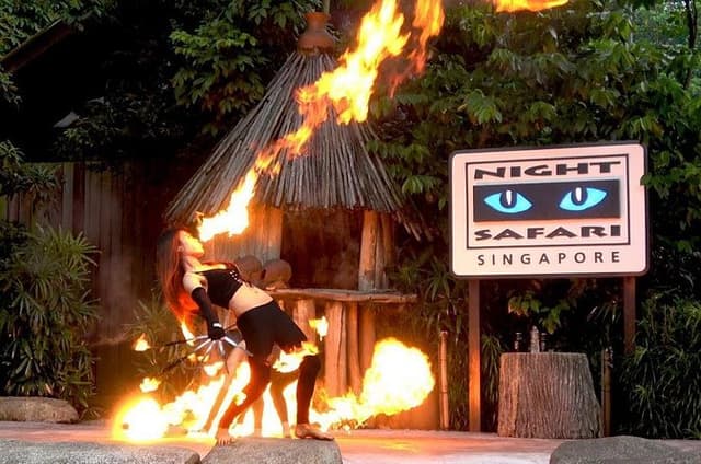 Singapore Zoo and Night Safari Tickets and Hotel Pickup