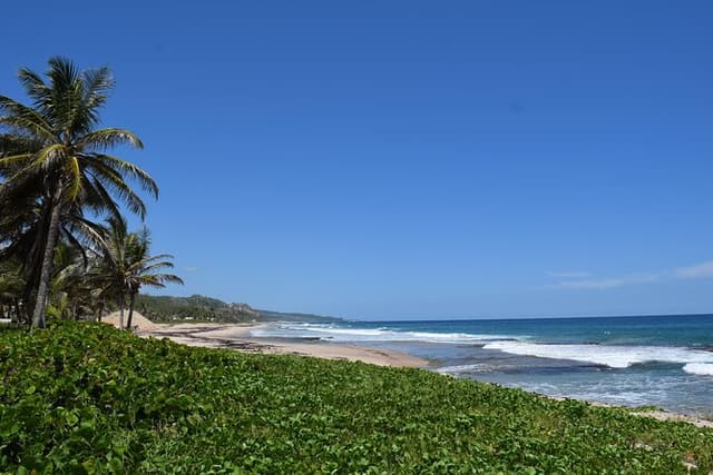 Barbados Island Highlights Half-Day Tour