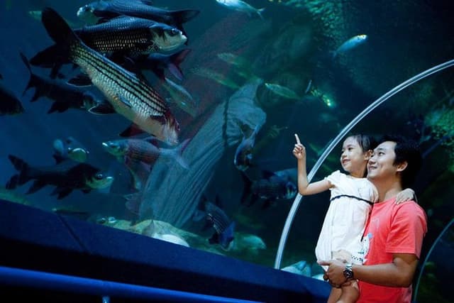 Pattaya Underwater World Admission Ticket with Return Transfer
